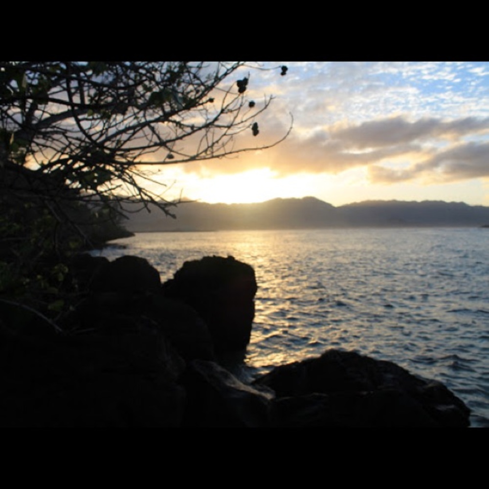 Meet your Posher, Loren